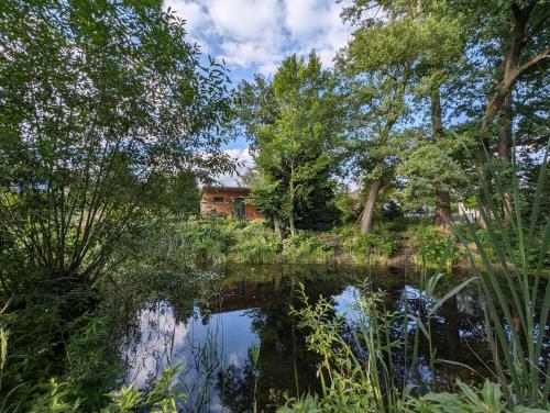 外部景觀, Klein aber fein, Ferienhaus am Tonteich in 科尼希 武斯特豪森