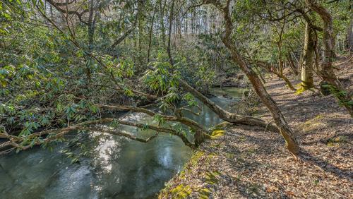 The Otter Side - image 14