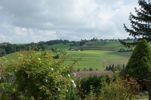 Ferienwohnung und B&B Chasa Janett