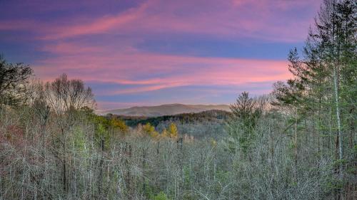 Tranquility Ranch, Mineral Bluff (photo 4)