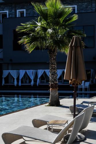 Havana Hotel