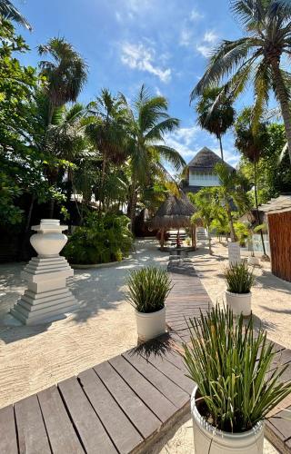 Shambala Beach House Tulum in Tulum, Mexico