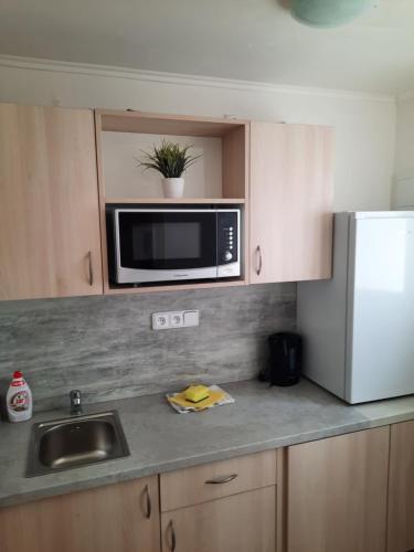 Apartmán u Bouře (Apartman u Boure) in Zajeci