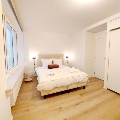 New Luxe Grand place Apartment, Brüssel (Foto 8)