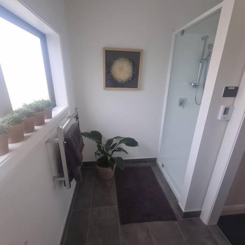 Apartment 3 - Haddin Court - Industrial Glam, Blenheim (foto 10)