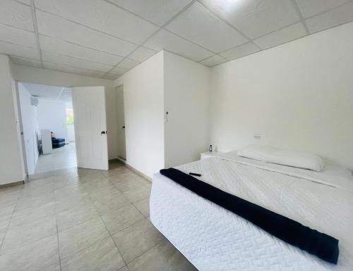One-Bedroom Apartment image 7