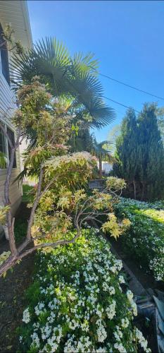 Cozy Comfort rooms in Nanaimo