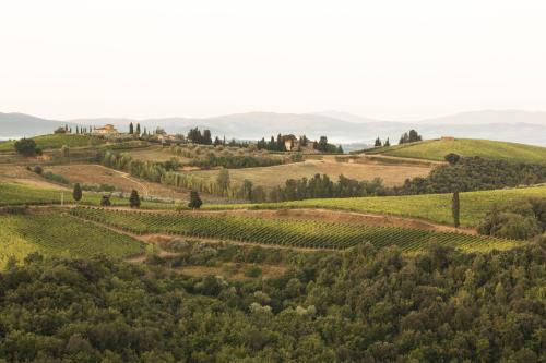 Quercia Al Poggio