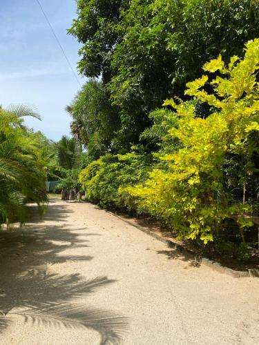 Elena Garden Resort and Restaurant – Trincomalee, GA