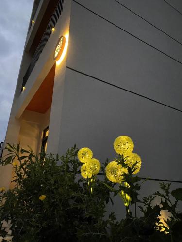 流浪居所民宿 流浪居所民宿