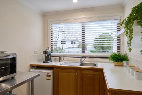 The Baby Penguin - Bicheno