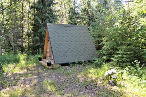 Korjuse Moor Korjuse Moor