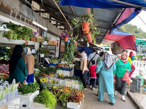 The Retreat, Nova Highlands, Sunrise and Mountain view