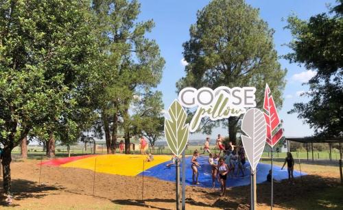 Grey Goose Game Lodge Grey Goose Game Lodge