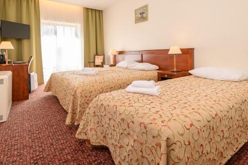 Regina Hotel, Druskininkai (foto 6)