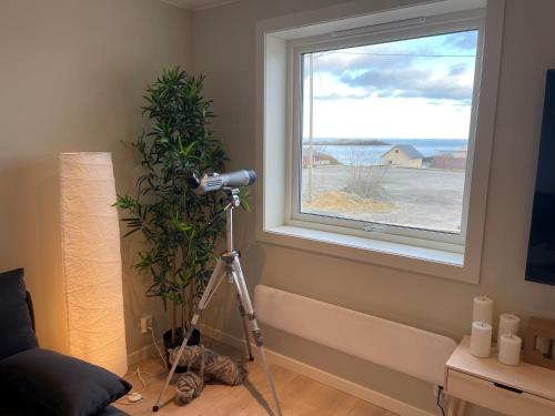Å, the far end of Lofoten, top apartment., Sørvågen (fotografie 10)