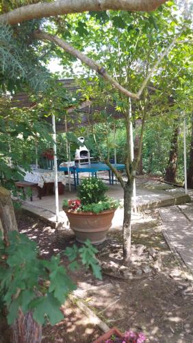 Appartamento con piscina e tennis – Montespertoli, IA