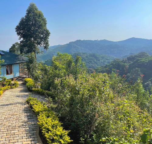 Okolí, Bwindi Neckview Lodge in Kanungu