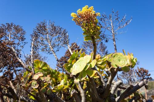 Casa El Rincón I San Andrés Casa El Rincón I San Andrés