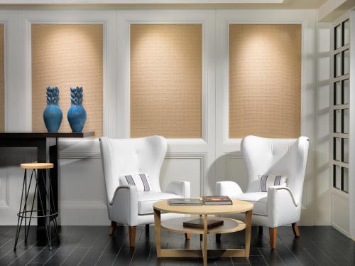 H10 Delfín - Adults Only - image 4