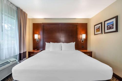 Comfort Inn Cordelia - image 10