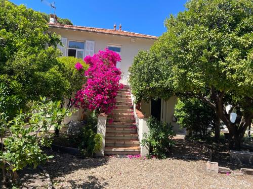 Chez Nicole – Cannes, CT