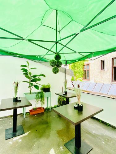 Budget Private Rooms in 8-Bedroom Apartment with Terrace 4