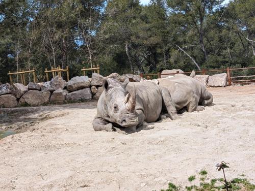Attractions, Appartement cosy au calme a cote du zoo avec balcon et parking securise in Saint-Eloi