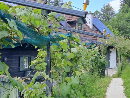 Das Altsteirische Landhaus - La Maison de Pronegg - Feriendomizil im Biosphärenpark Wienerwald