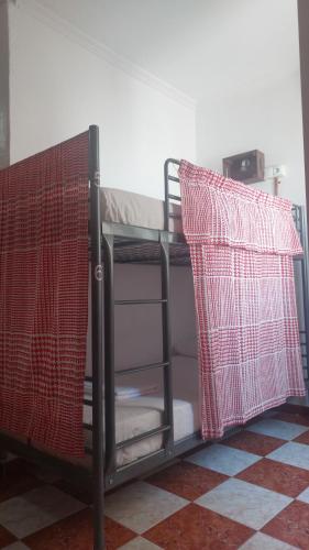 Hostel One Catedral - image 5