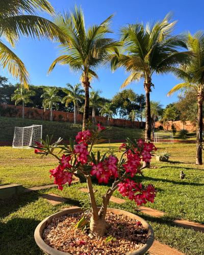 Hotel Pousada Villa Itália Olímpia - image 3