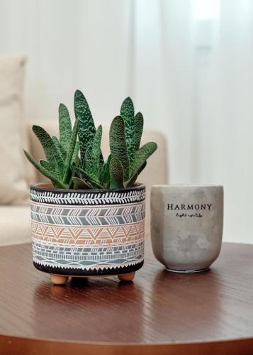 Godija Central Tirana 1, Tirana (photo 4)