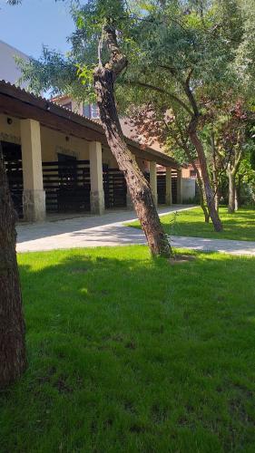 La Avocați (La Avocati) in Vama Veche