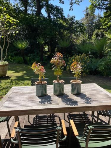 View, Willow Cottage in Studland