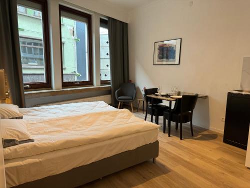 Loft with big terrace city center MEIR, Amberes (foto 2)