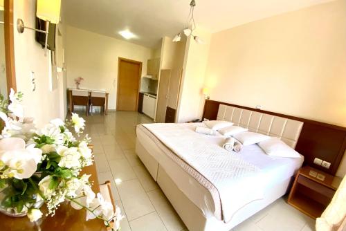 Hotel Sotiris Superior Apartments - image 9