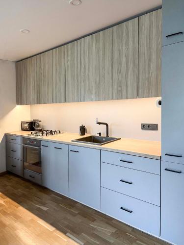 Cocina, Calm garden Suite near Green Lakes in Antakalnis