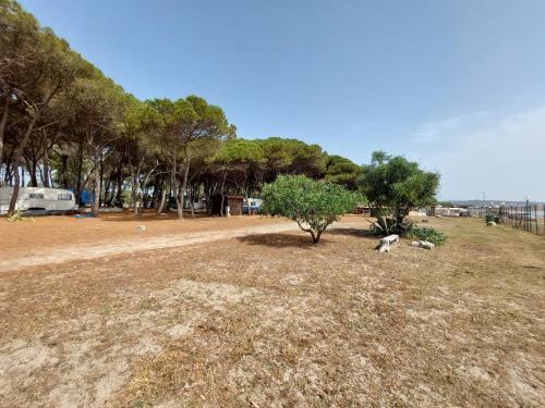 Camping Cammello Grigio 5