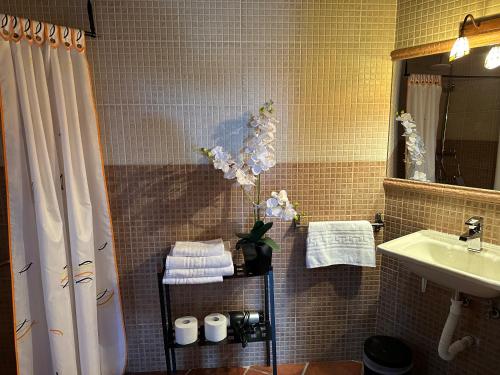 Casa Rural La Covacha - image 13