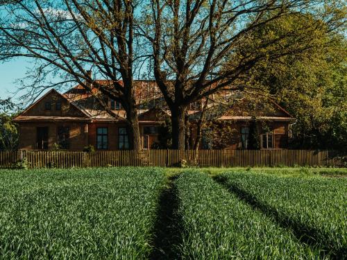 Puszcza - Przestrzeń Kreatywna