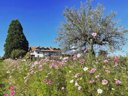 Bergchalet Mirabell Ferienwohnungen - Natururlaub am Bodensee in Friedrichshafen, Deutschland