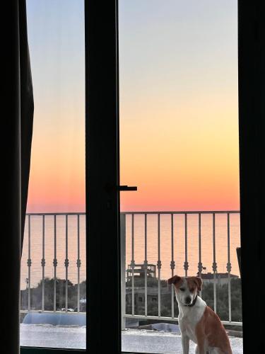 Apartment image 6