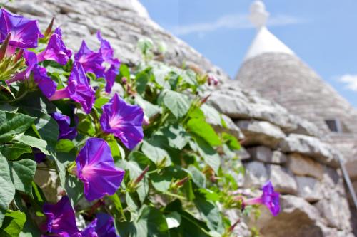 Antica Aia B&B - image 13