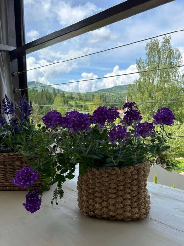 Provence, Slavsko (photo 7)