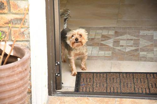 The Close in Constantia - image 10