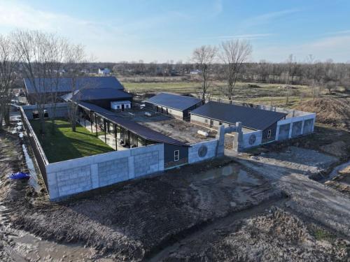 . Big Cat Bungalows at The Haven - Lion 4