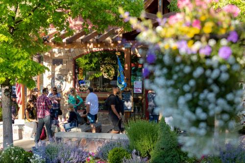 Mountain pines cottage #2349 in Big Bear City, USA