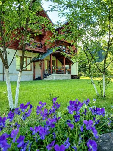 Viesnīcas āriene, "Лісова Казка" у Ворохті in Vorokhta
