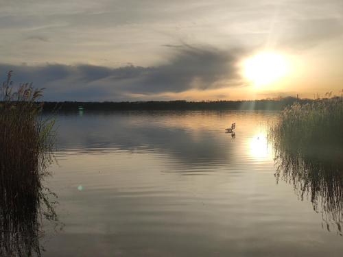 A környék, Ferienhaus Turner in Neustadt-Glewe