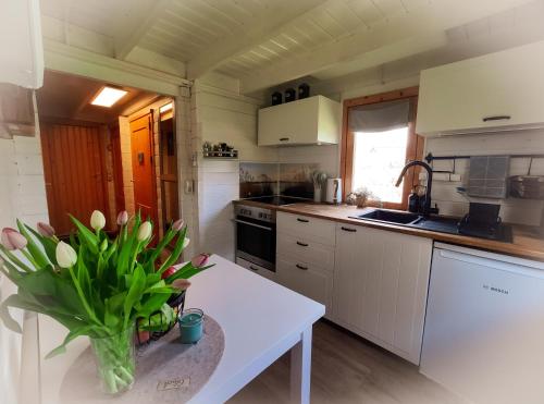 Konyha, Ferienhaus Turner in Neustadt-Glewe